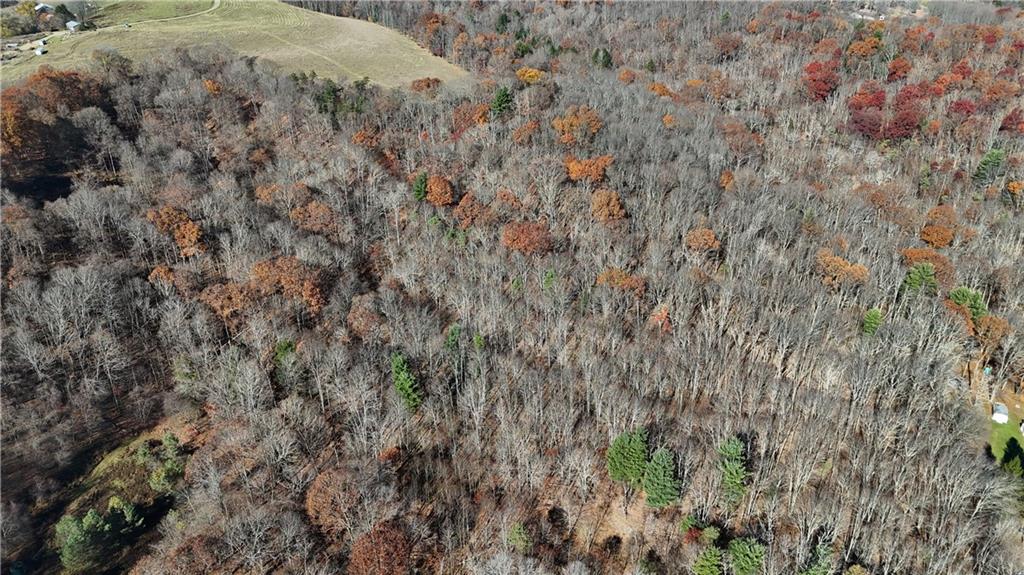 56-acres ± Along Juneau Road Walston, PA 15767 - Photo 11 of 13 a view of a dry yard