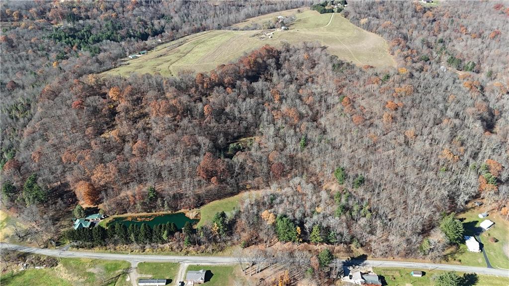56-acres ± Along Juneau Road Walston, PA 15767 - Photo 3 of 13 a view of a yard