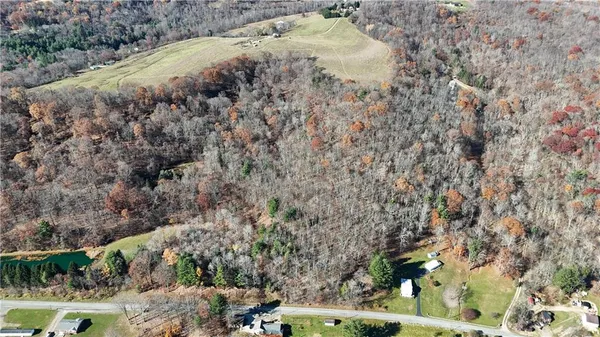 a view of a forest with a yard
