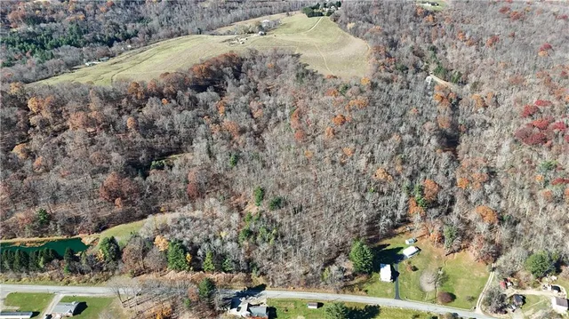a view of a forest with a yard