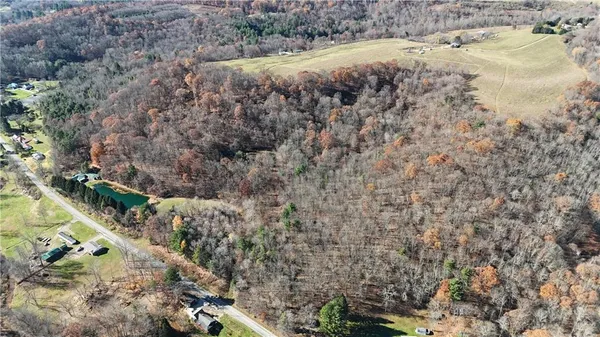 a view of a yard with plants