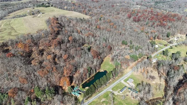 a view of a yard with plants and wooden fence