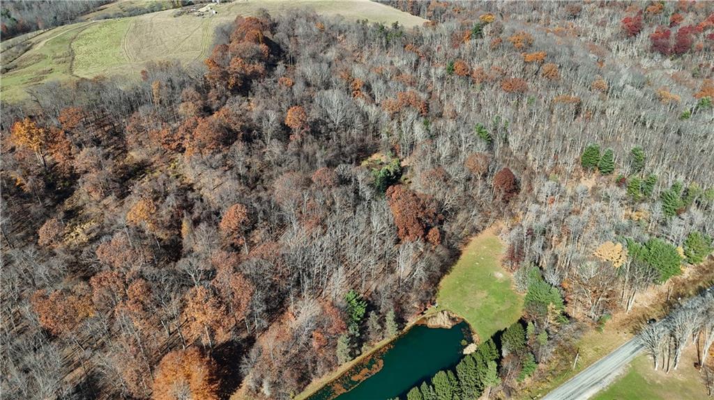 56-acres ± Along Juneau Road Walston, PA 15767 - Photo 8 of 13 a view of a yard with plants and wooden fence
