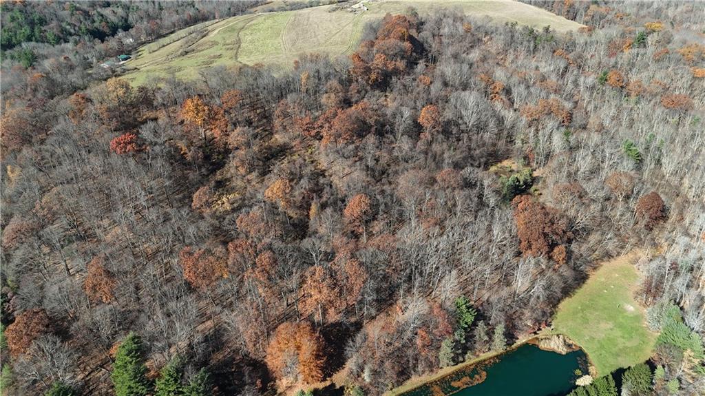 56-acres ± Along Juneau Road Walston, PA 15767 - Photo 9 of 13 a view of a field of grass and trees