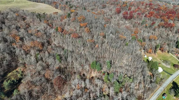 a view of a dry yard