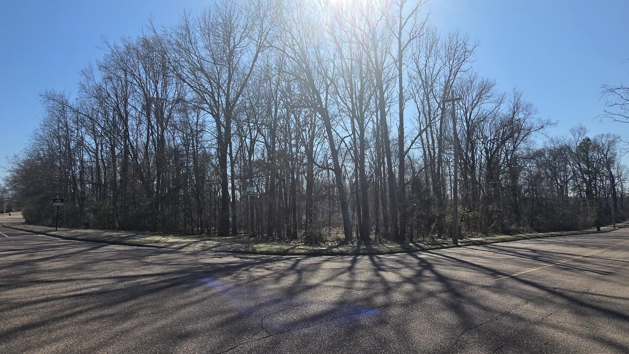 Egypt Central Road Bartlett, TN 38135 - Photo 2 of 7 View of road featuring sidewalks