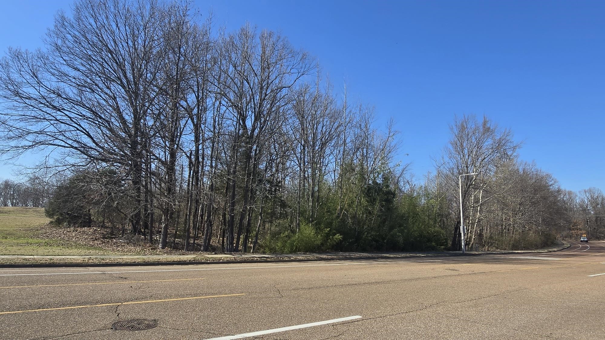 Egypt Central Road Bartlett, TN 38135 - Photo 5 of 7 View of road