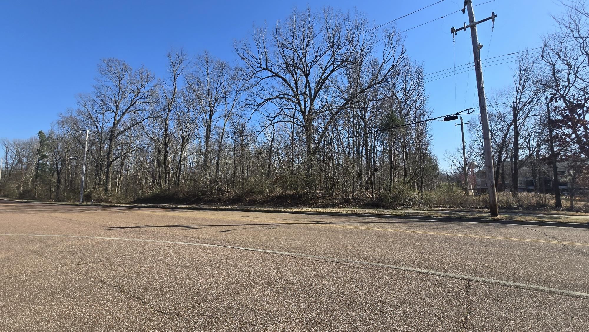 Egypt Central Road Bartlett, TN 38135 - Photo 7 of 7 View of road featuring curbs, sidewalks, and street lighting