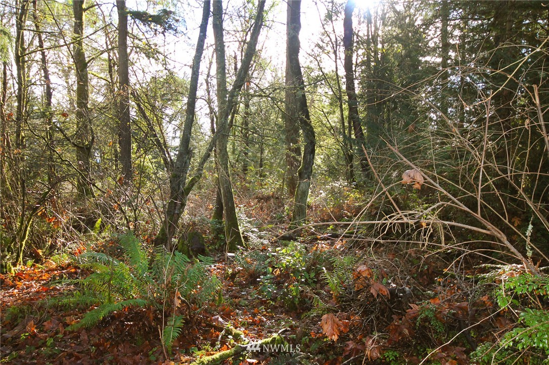203-xx Ridge Road Southwest Vashon, WA 98070 - Photo 3 of 5