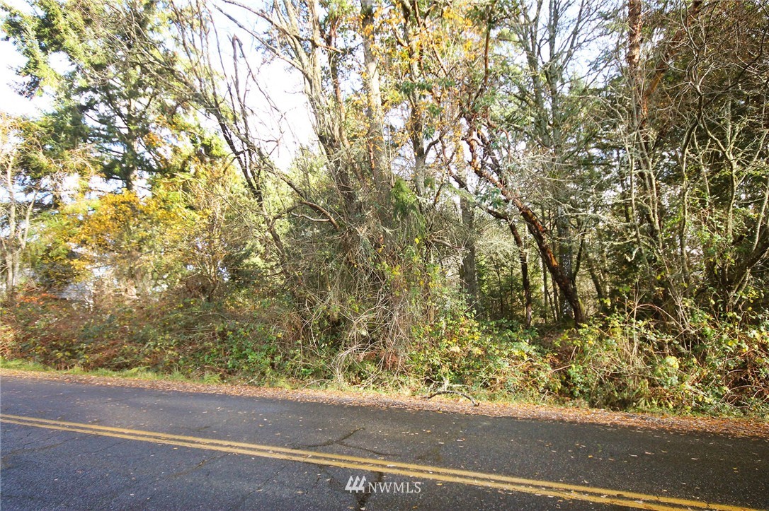 203-xx Ridge Road Southwest Vashon, WA 98070 - Photo 4 of 5