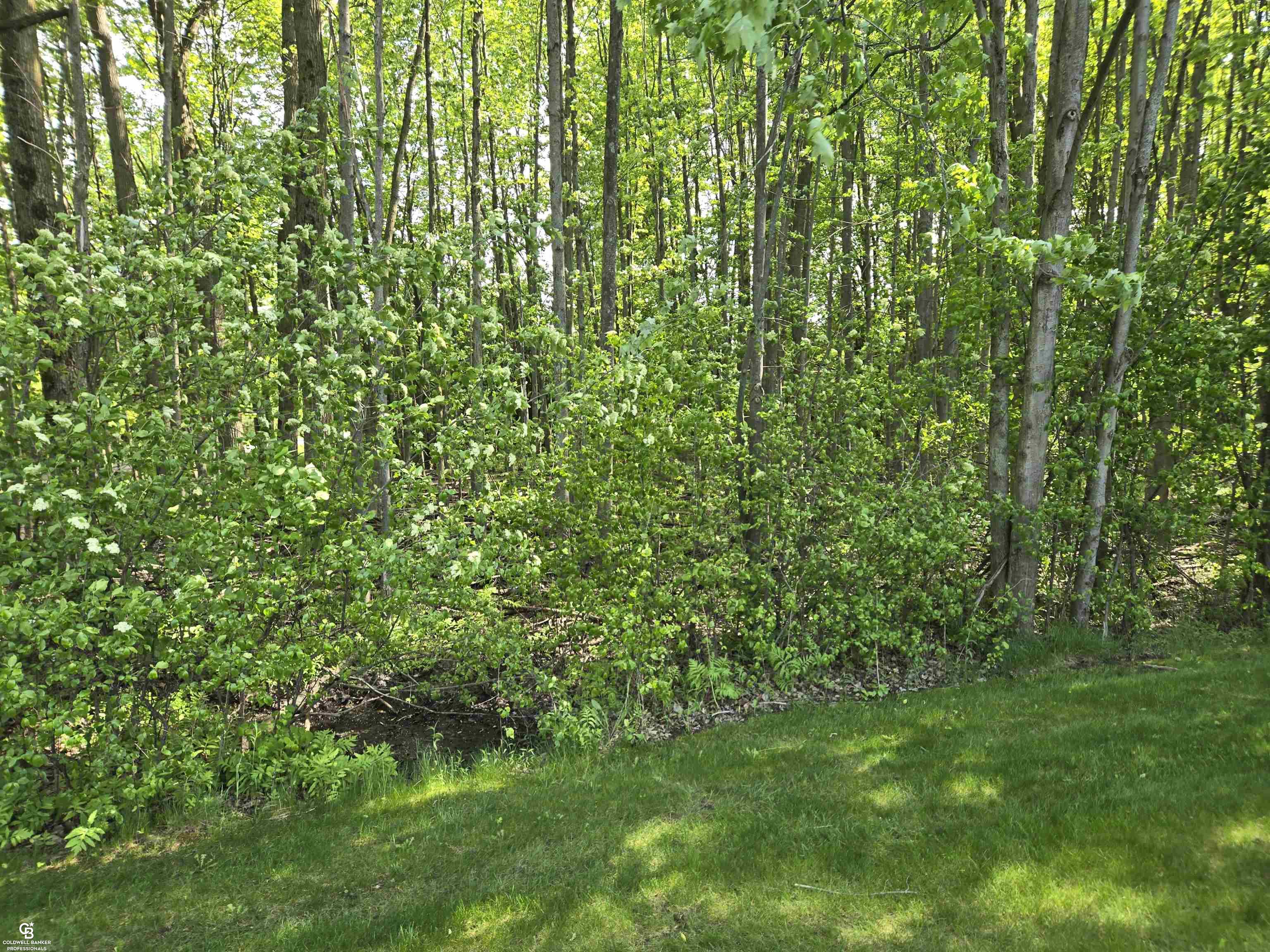 9660 Brandon Road Avoca, MI 48006 - Photo 49 of 54