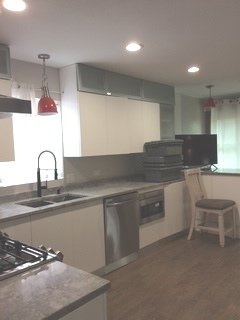 11633 South Avenue H Chicago, IL 60617 - Photo 13 of 58