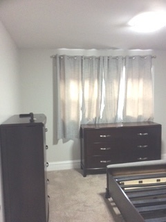 11633 South Avenue H Chicago, IL 60617 - Photo 5 of 58