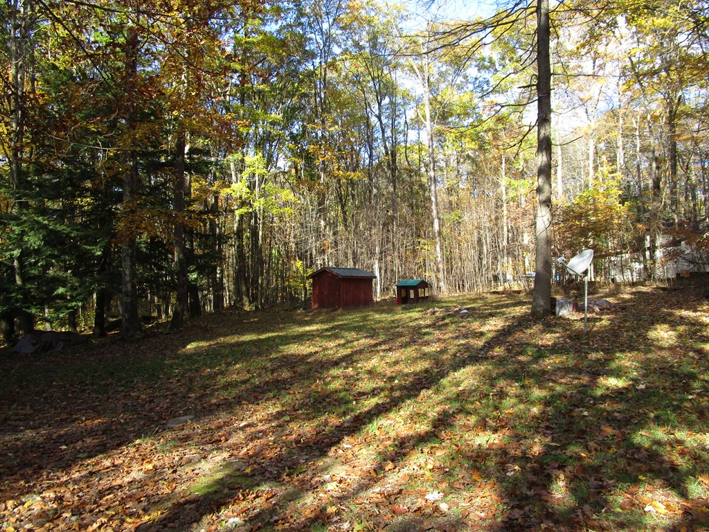 789 Bullion Road Polk, PA 16342 - Photo 2 of 19