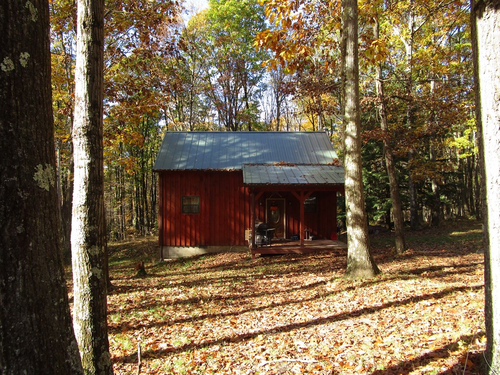 789 Bullion Road Polk, PA 16342 - Photo 3 of 19