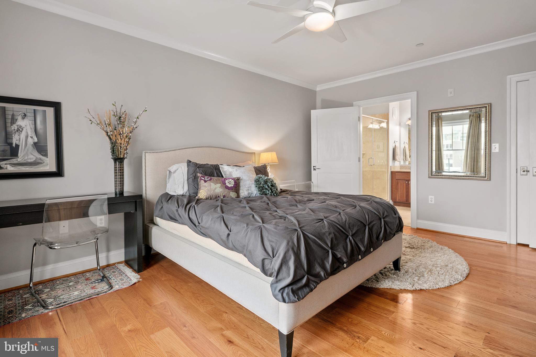 3131 9th Road North, Unit 44 Arlington, VA 22201 - Photo 17 of 33 a spacious bedroom with a bed a window and potted plant on a dresser
