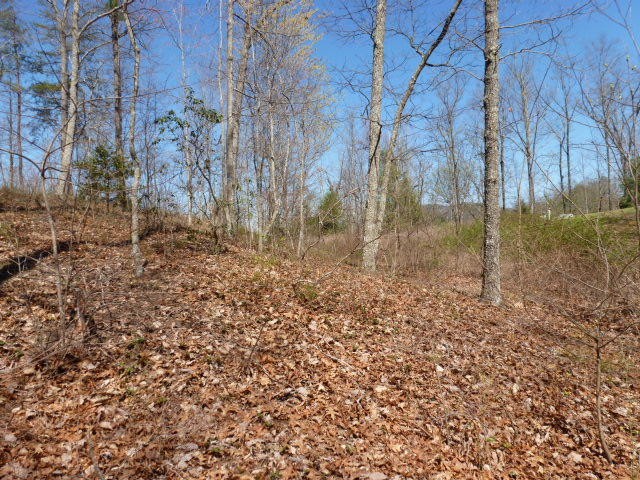 0 Rocking Chair Lane Sevierville, TN 37862 - Photo 5 of 16 Gallery Image 5