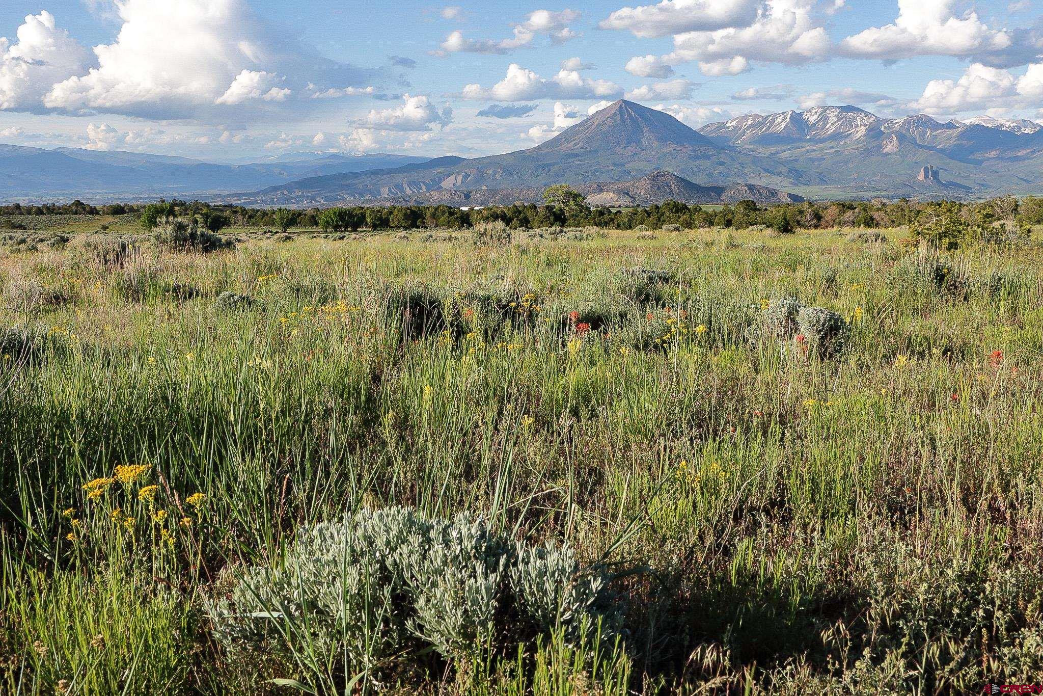 75707 B76 Road Crawford, CO 81415 - Photo 41 of 45 Gallery Image 41