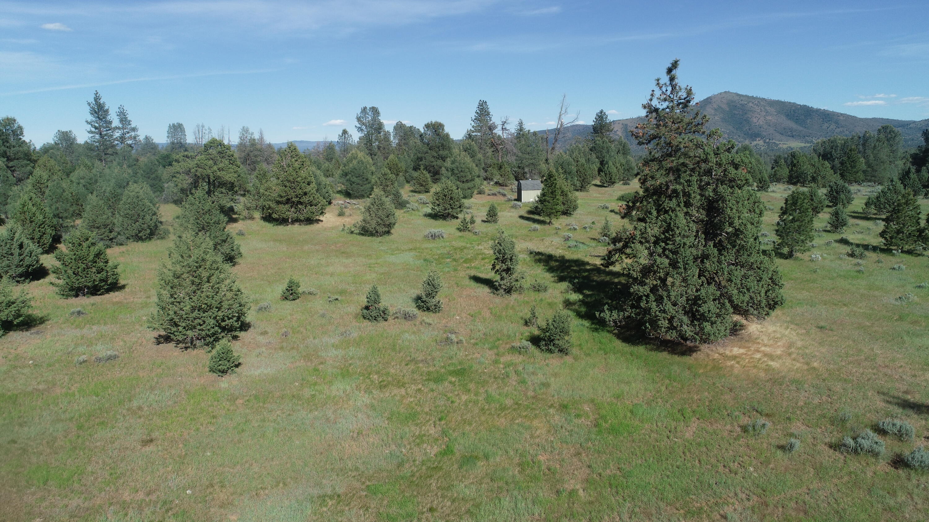 St-john St John Ranch Road Fall River Mills, CA 96028 - Photo 34 of 36 DJI_0024