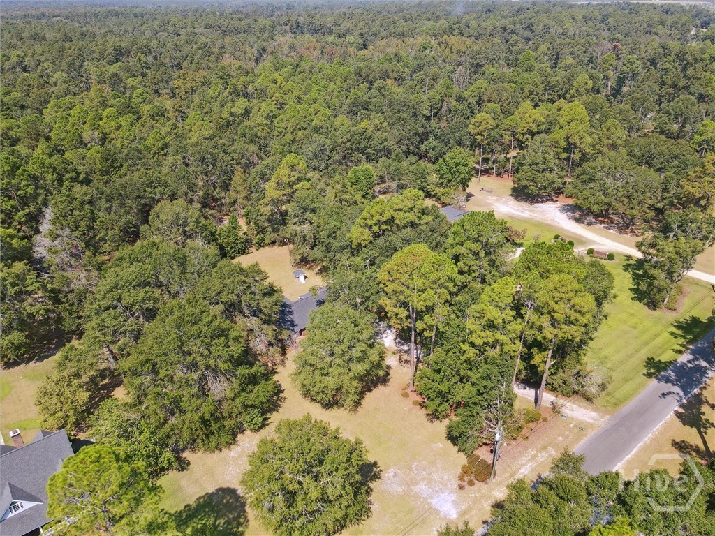 3058 Old Eighty Road Millen, GA 30442 - Photo 37 of 46