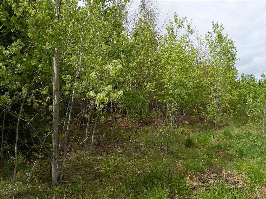Lot 7 East Bottle Lake Road Springfield, ME 04487 - Photo 5 of 16 Photo