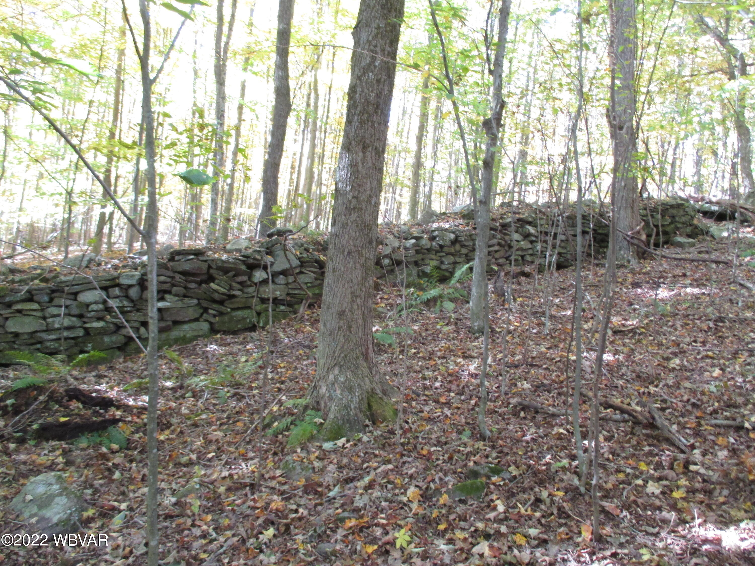 Lake Road Muncy Valley, PA 17758 - Photo 16 of 26 Gallery Image 16