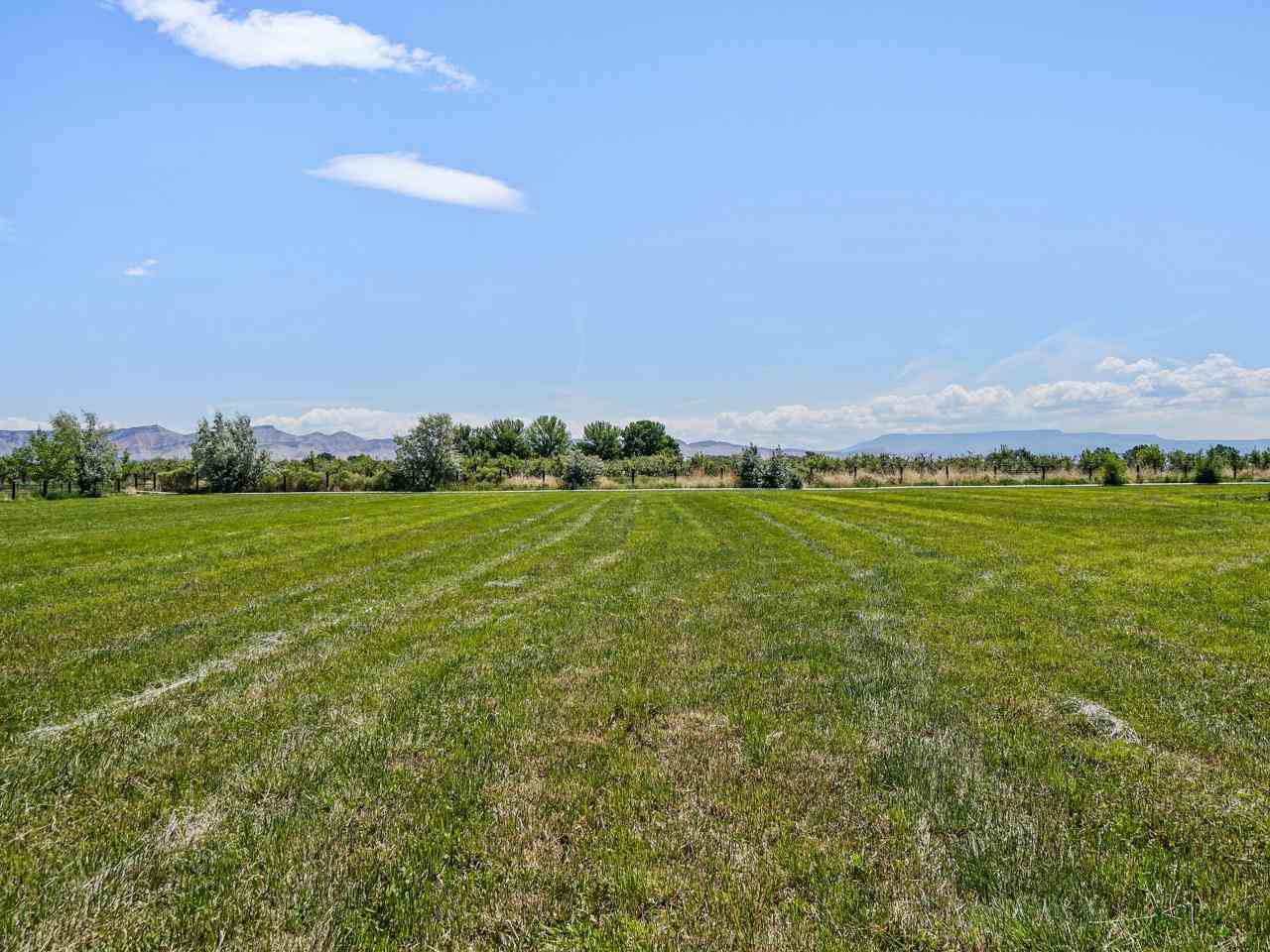 1110 22 Road Grand Junction, CO 81505 - Photo 42 of 42 a view of a field with an ocean