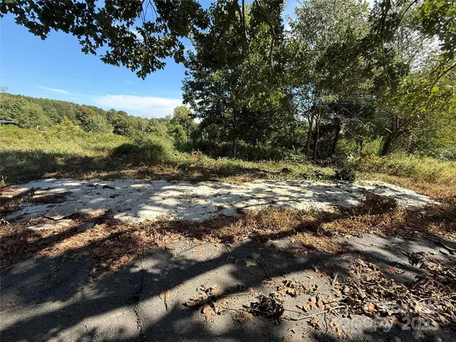 a view of a road with a tree