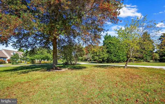 a view of outdoor space with deck and trees
