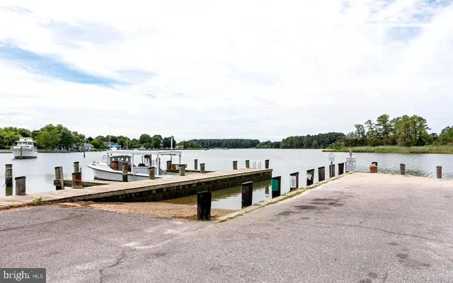 a view of a terrace with a bench