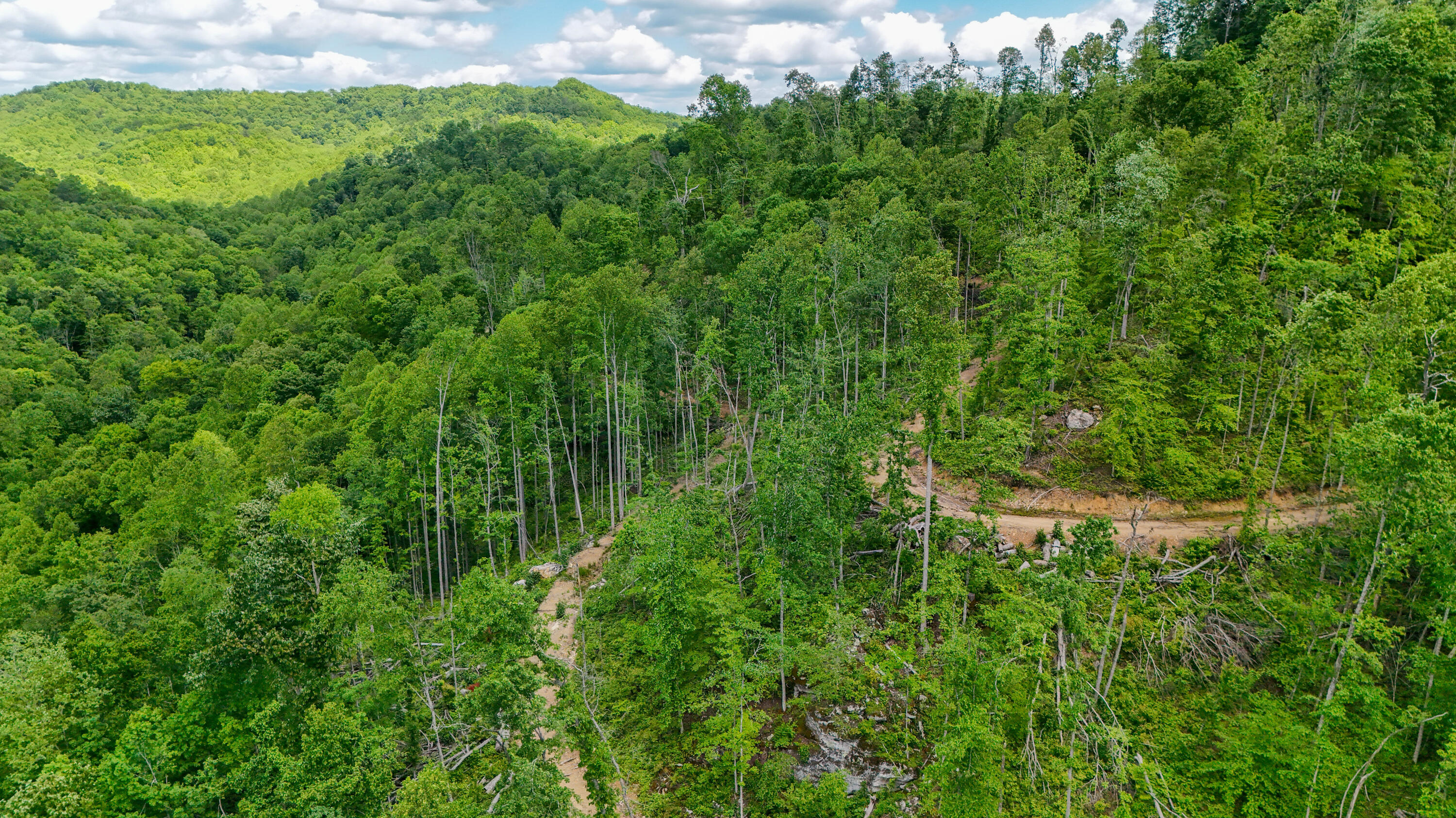 0 Amy Branch Road Essie, KY 40827 - Photo 11 of 19 LightroomRealEstateEdits-8