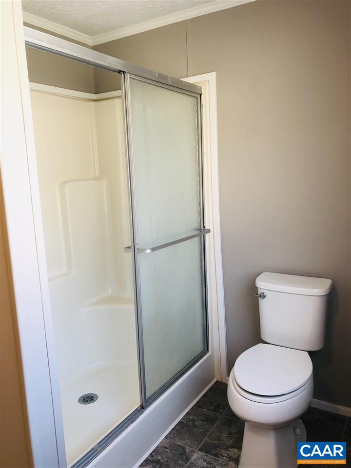 166 Berry Farm Road Staunton, VA 24401 - Photo 33 of 49 Shower Area