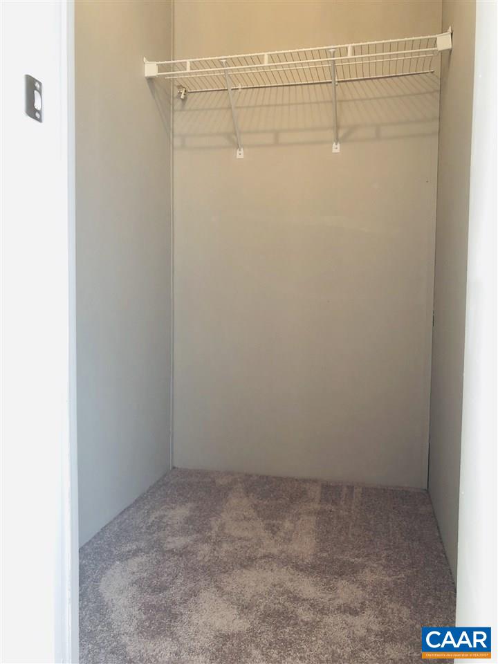 166 Berry Farm Road Staunton, VA 24401 - Photo 37 of 49 Walk-In Closet