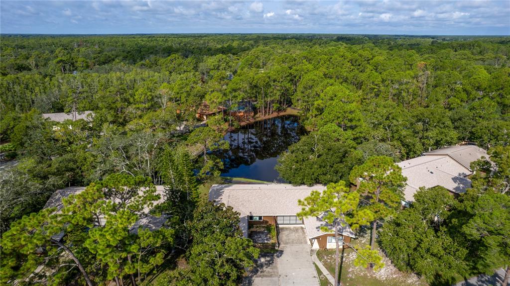 55 Crooked Pine Road Port Orange, FL 32128 - Photo 6 of 28 a view of a bunch of plants and trees