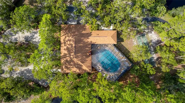 a view of a tree in a garden