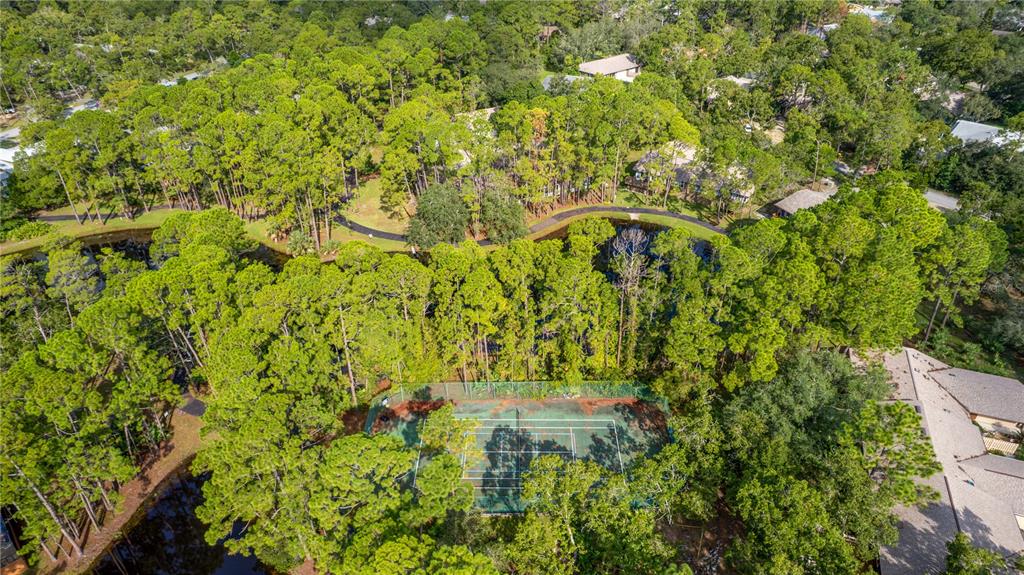 55 Crooked Pine Road Port Orange, FL 32128 - Photo 8 of 28 a view of a yard with plants and wooden fence