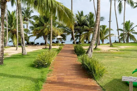 a view of a yard with plants