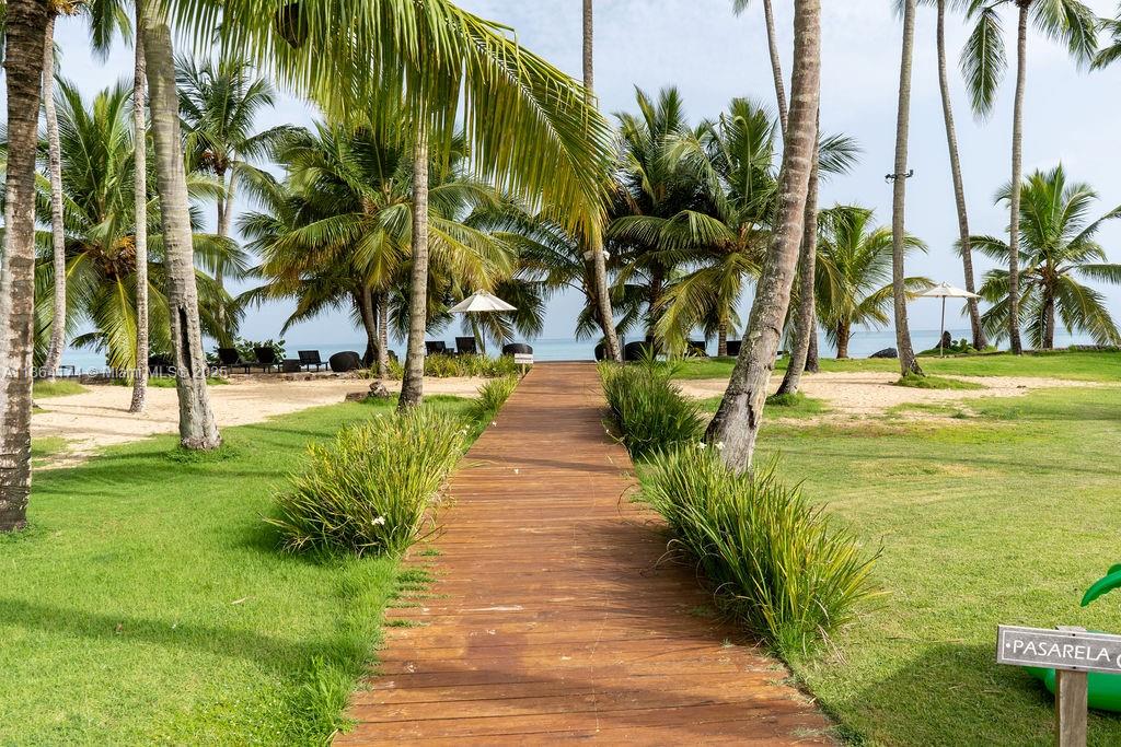 0 8c3f Q62, Unit LEVEL 1 Las Terrenas, Samaná Province 32000 - Photo 28 of 41 a view of a yard with plants