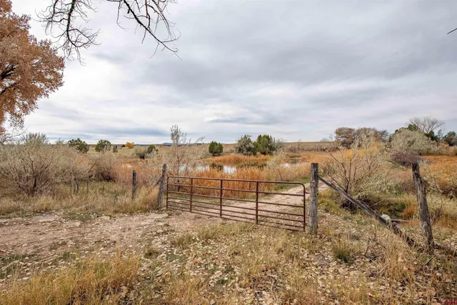 a view of a outdoor space