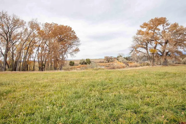 $735,000 | 38298 Highway 92, Crawford, CO 81415