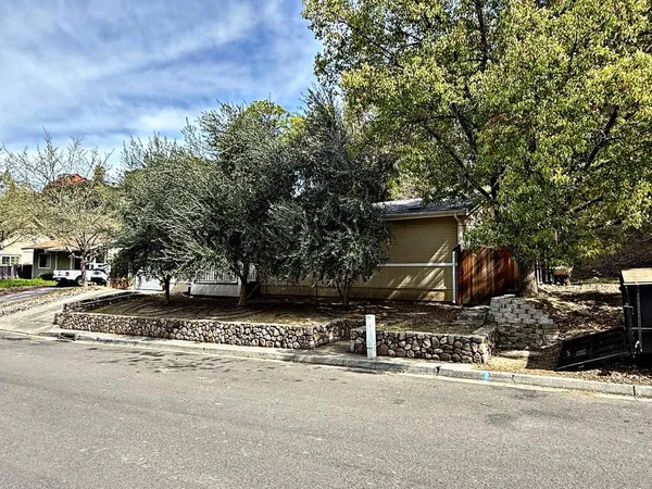 a side view of a house with a tree