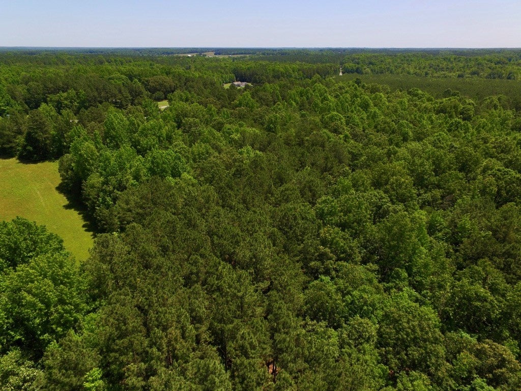 604 Sugar Hill Road Kenbridge, VA 23944 - Photo 25 of 26 Gallery Image 25