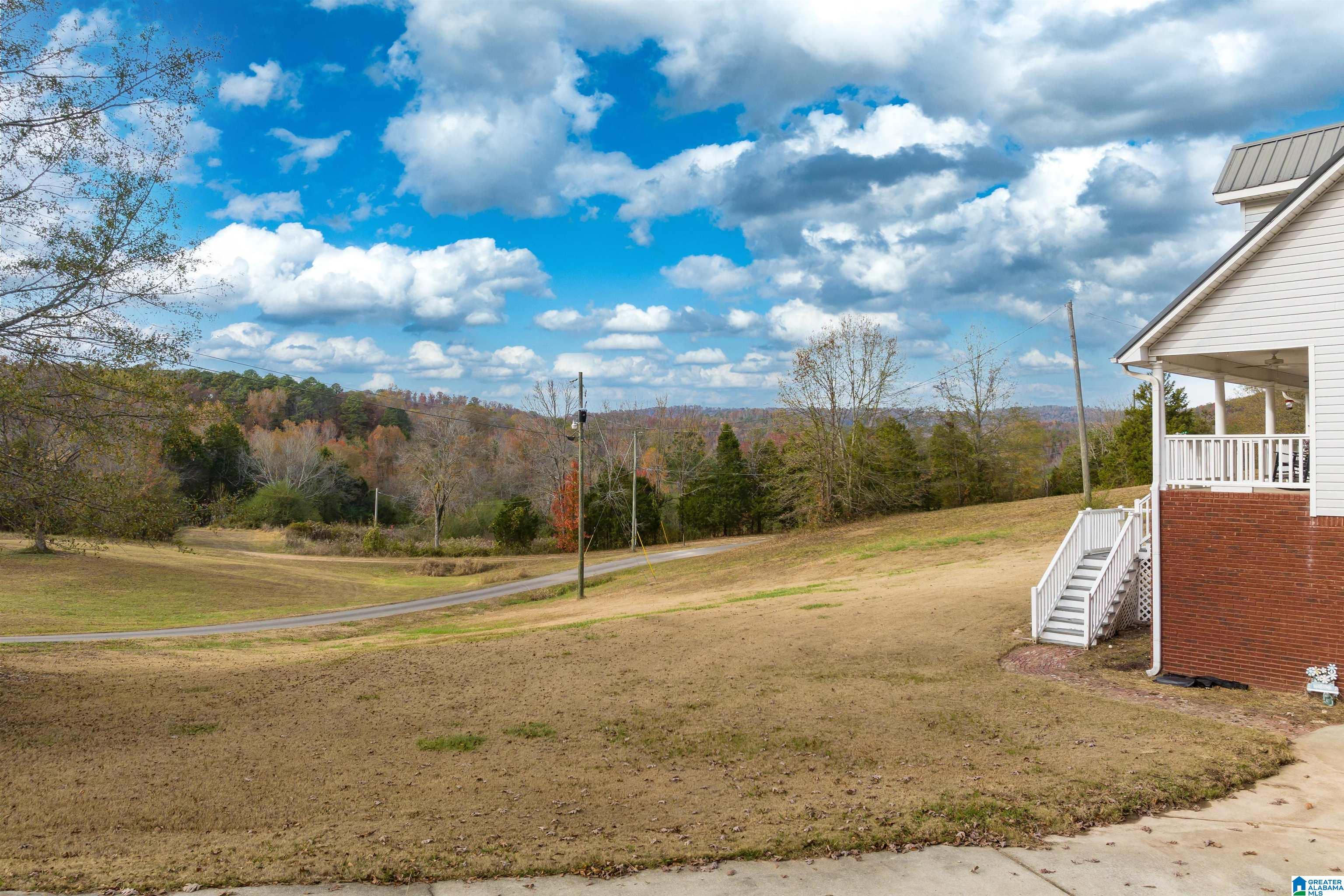 153 Hickory Lane Springville, AL 35146 - Photo 24 of 28