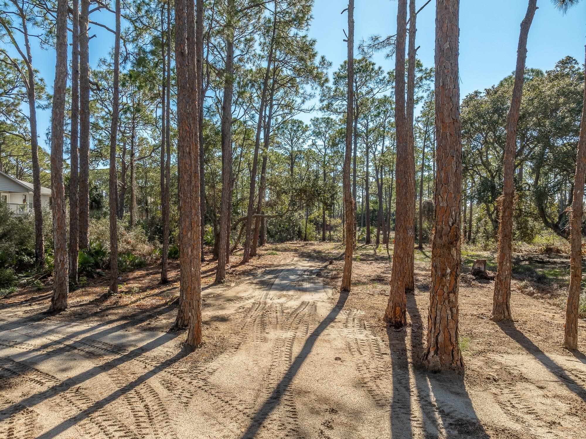 160 Harbor Circle Alligator Point, FL 32346 - Photo 13 of 36