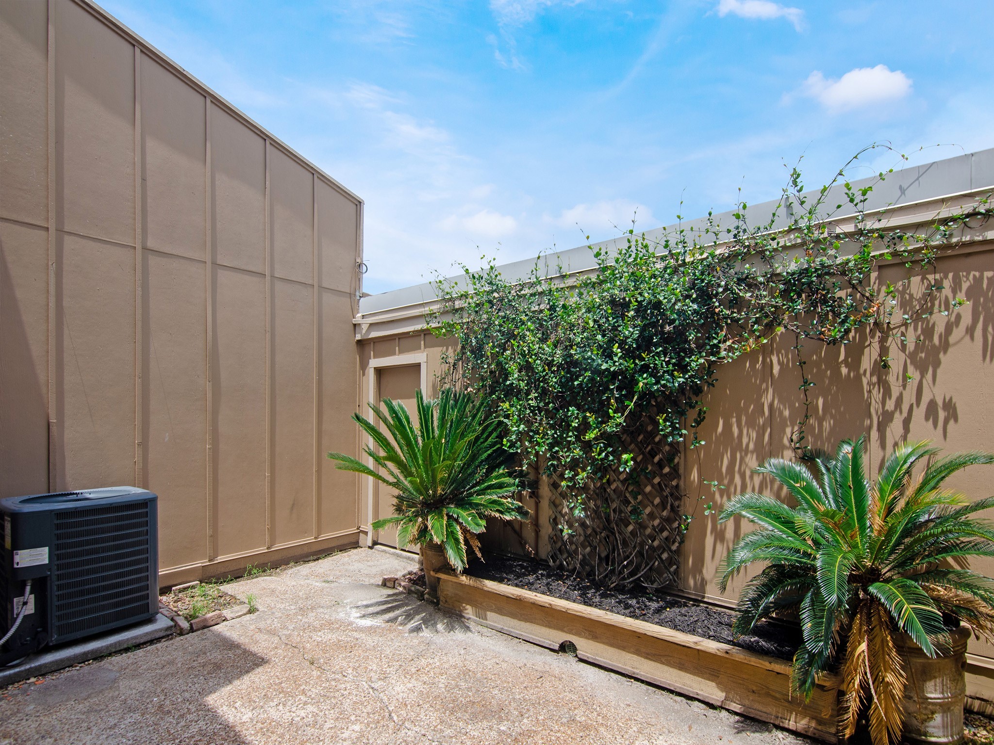 11624 Village Pl Drive, Unit 327 Houston, TX 77077 - Photo 23 of 24 a potted plant sitting in front of a building