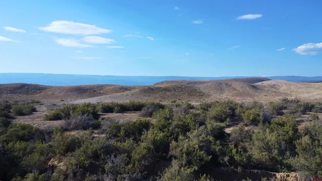 an aerial view of mountain and trees