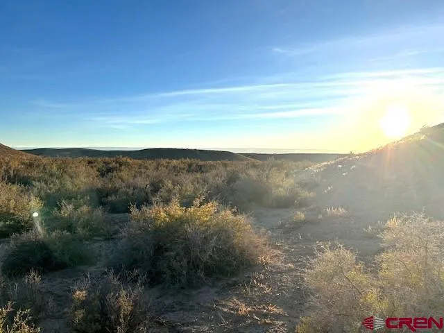 a view of a forest with mountains in the background