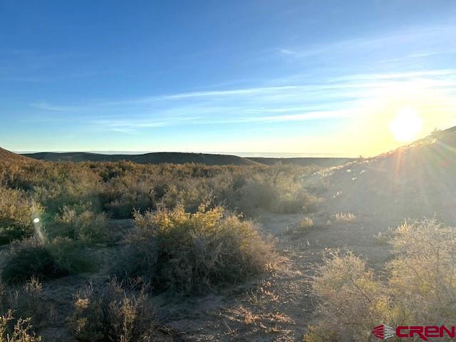5 H75 Road Delta, CO 81416 - Photo 28 of 29 a view of a forest with mountains in the background