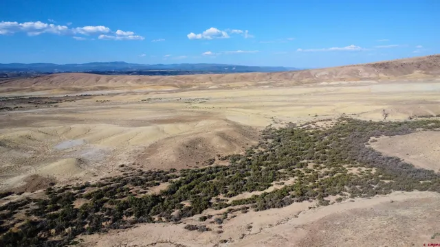 a view of an ocean beach