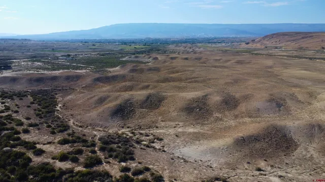 a view of ocean view with lots of trees